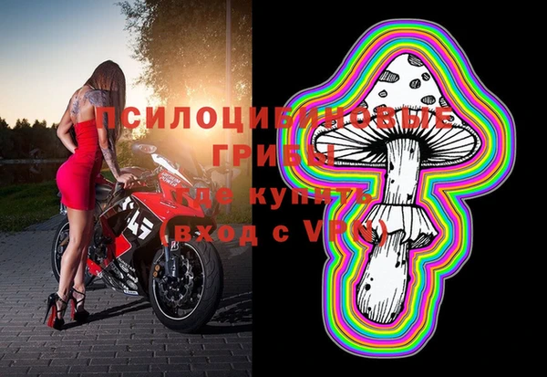 первитин Горнозаводск