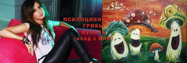 хмурый Горняк